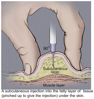 Subcutaneous injection into the abdomen